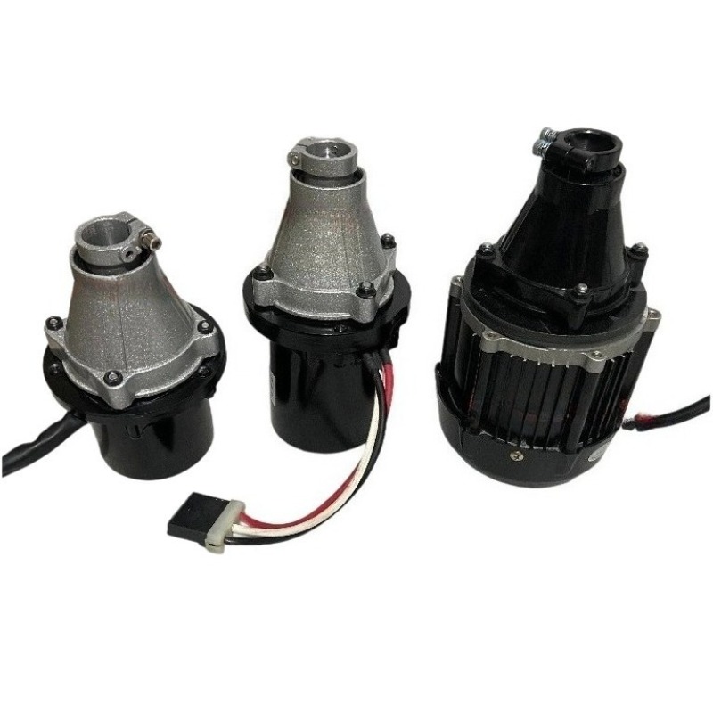 Motor de popa sem escova de 12 - Fishing Boat Outboard Motor avaliação e preço